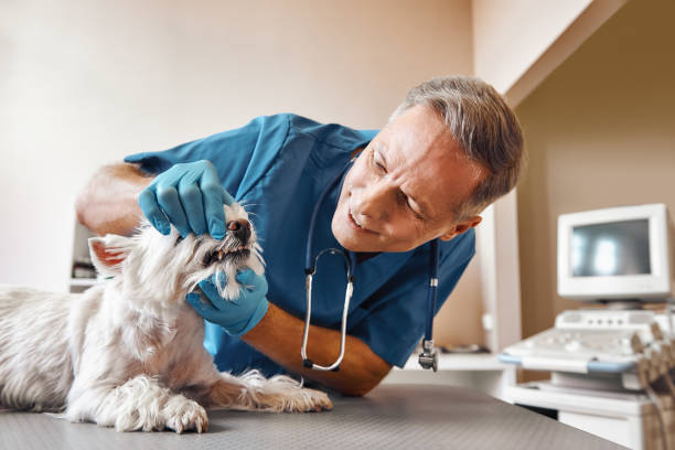 Best Emergency Tooth Extraction in Grape Creek, TX